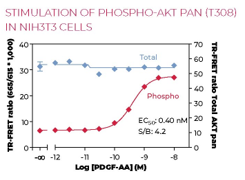 KIT-AKTT308PT-500.png
