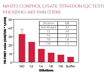 KIT-AKTT308PT-500-2.png