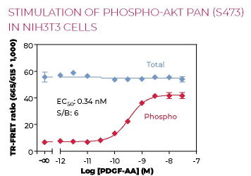 KIT-AKTS473PT-500-1.png