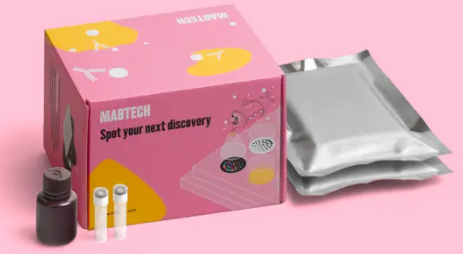 ELISpot Plus:小鼠IL-4(HRP)