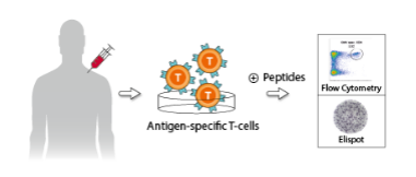 CRISPR-Cas9.png