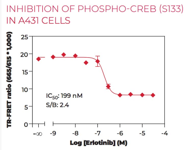KIT-CREBP-100-2.png