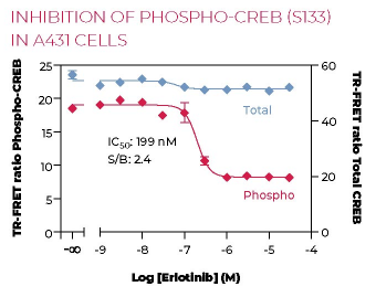 KIT-CREBP-100-2.png