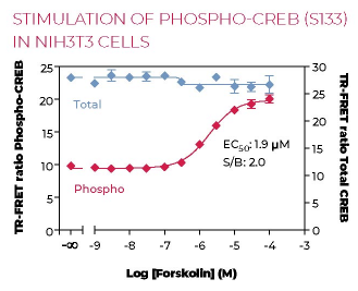 KIT-CREBPT-500-1.png