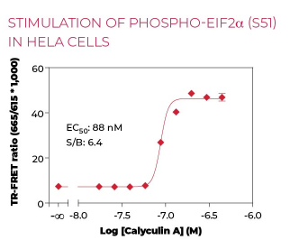 KIT-EIF2aP-100-1.png