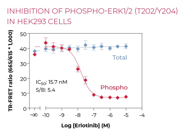 KIT-ERKPT-500-2.png