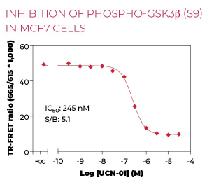 KIT-GSK3P-100-2.png