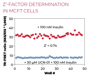 KIT-GSK3P-100-3.png