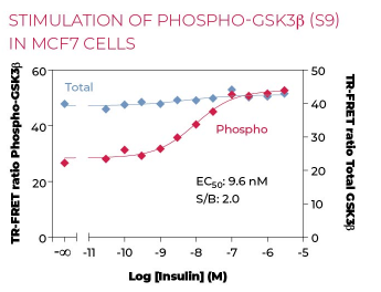 KIT-GSK3T-100-1.png