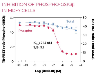 KIT-GSK3T-100-2.png