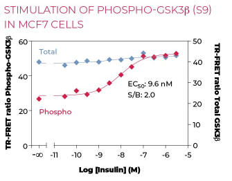 KIT-GSK3PT-500-1.png