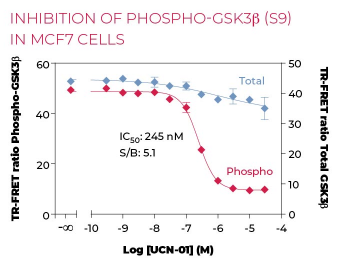 KIT-GSK3PT-500-2.png