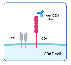 Clausen et al.png