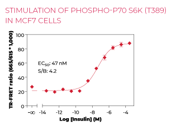 KIT-P70S6KP-100-1.png