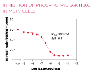 KIT-P70S6KP-100-2.png