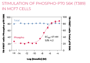 KIT-P70S6KPT-500-1.png
