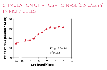 KIT-RPS6BP-100-1.png