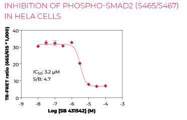 KIT-SMAD2P-100-2.png