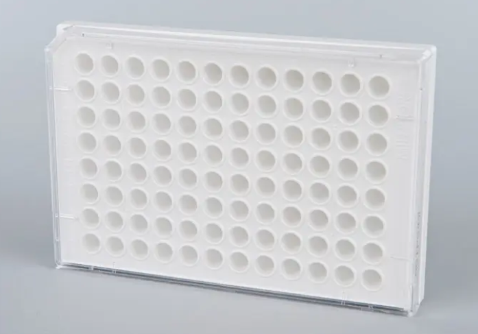 MSIP-1.png