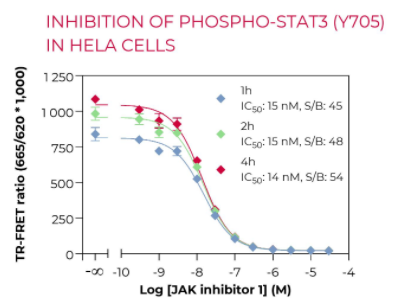 KIT-HP-STAT3P-100-3.png