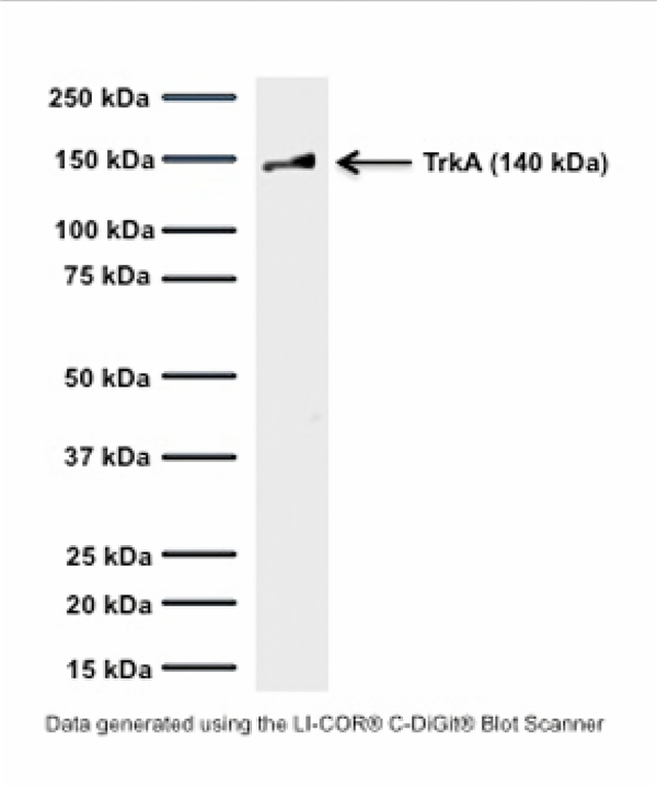 M-1719-100-1.png