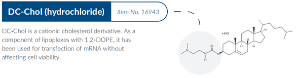 LNP-7.png