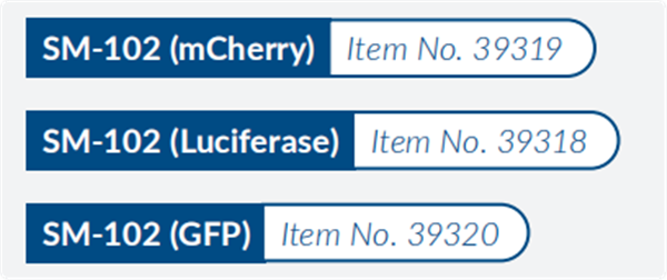 LNP-10.png