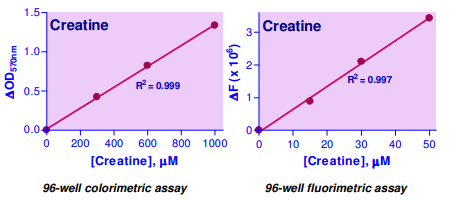 BAS-ECRT-100.png
