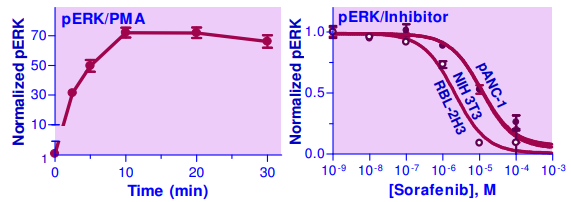 EBK.png