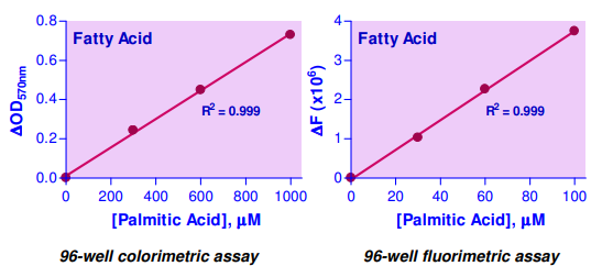 EFFA-100.png