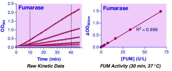 BAS-EFMR-100.png