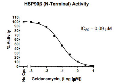 HSP90βN端結構域檢測試劑盒