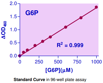 EG6P-100.png
