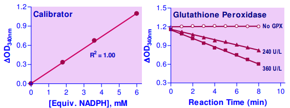 EGPX-100-1.png