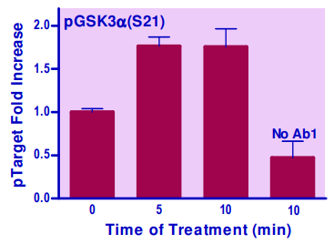 EGSK3A-100.png