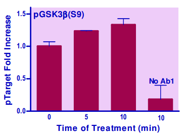 BAS-EGSK3B-100.png
