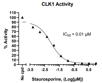 Chemi-Verse CLK1激酶檢測試劑盒