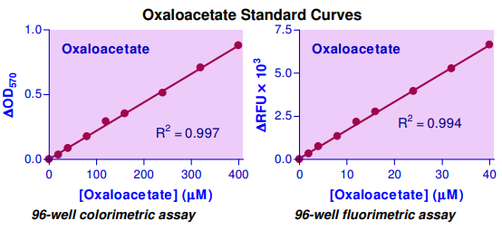 EOAA-100.png