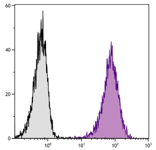 1730-01.png