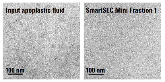 SmartSEC Mini-3.png