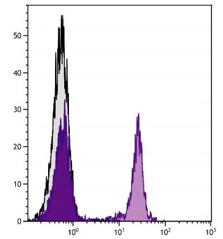 7200-01.png