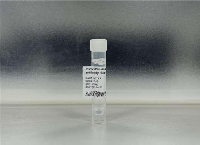 抗小鼠CD8α體內抗體, 克隆號2.43