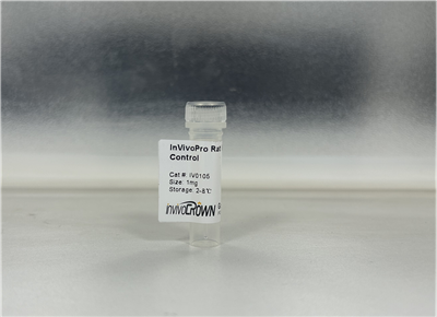 大鼠IgG2a體內同型對照抗體（貨號：IV0105）