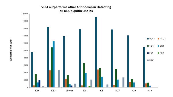 VU-1-2.png