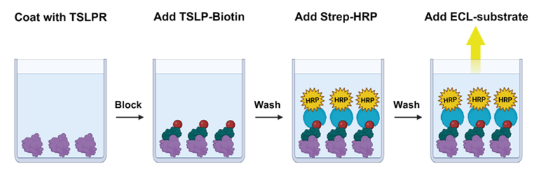 51.png