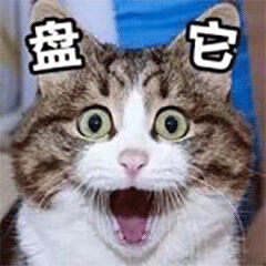 看文獻.gif