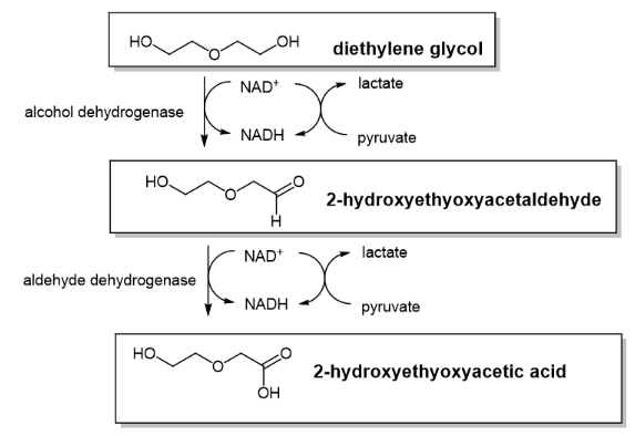 diethylene glycol.png