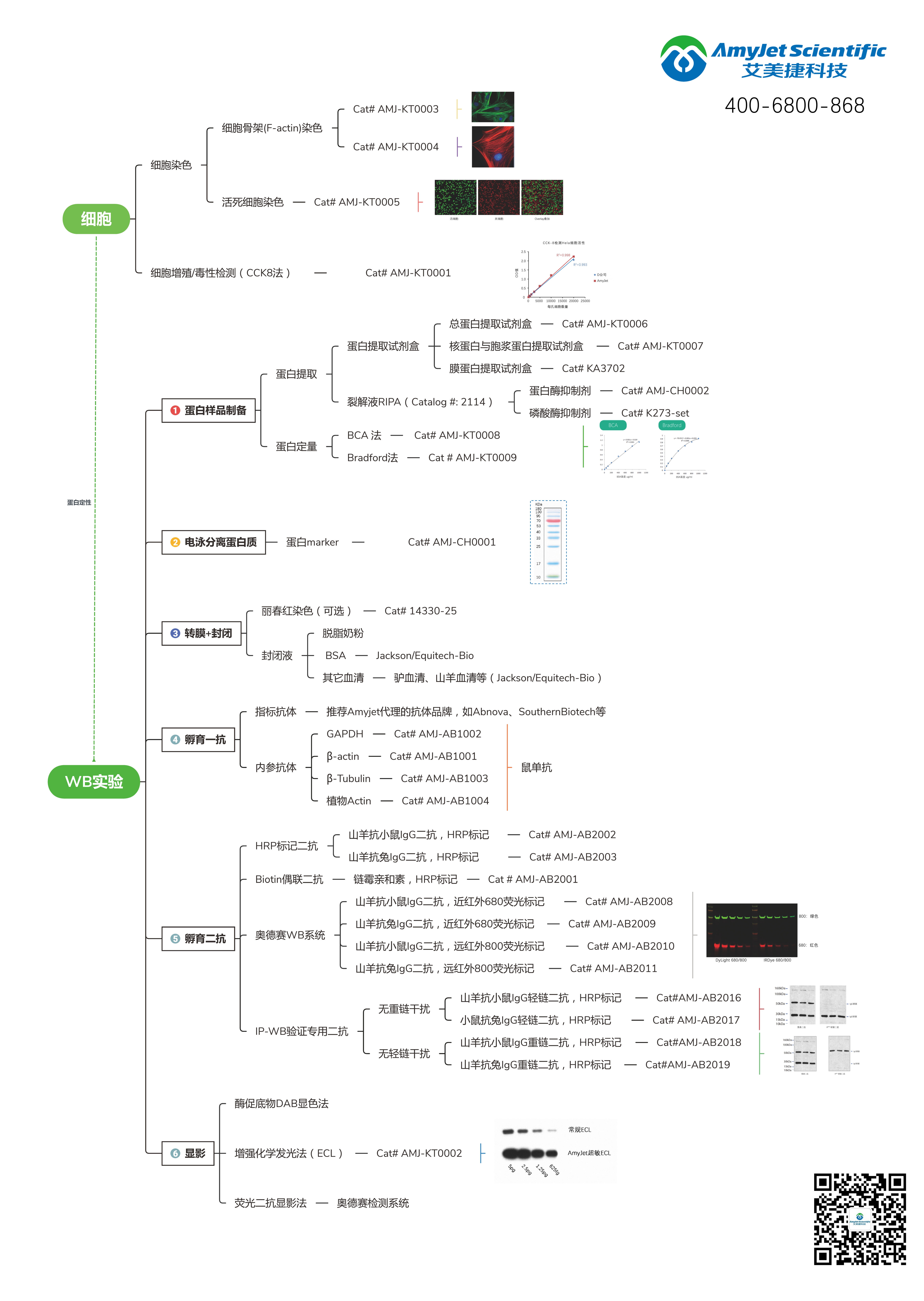 艾美捷自產隨貨發(1).jpg