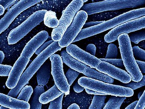 圖片16.png