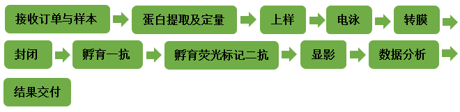 服務流程.png